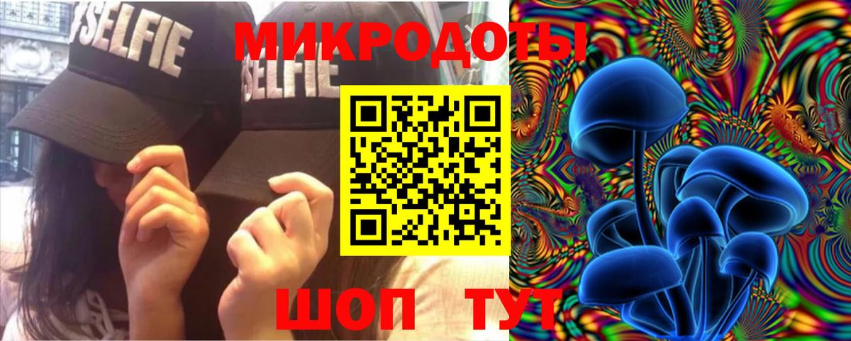 Галлюциногенные грибы Cubensis Черняховск